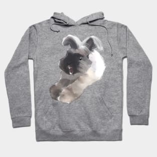 Brian Roar Rabbit _ Bunniesmee Hoodie